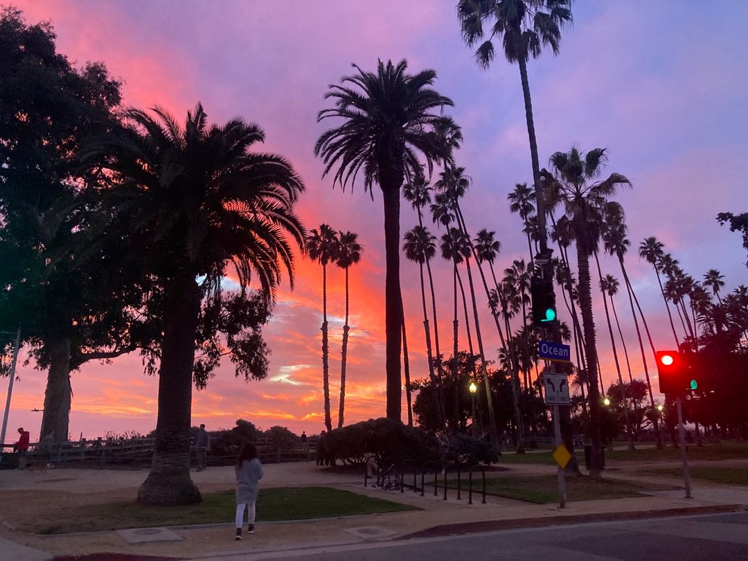 Sunset with palms